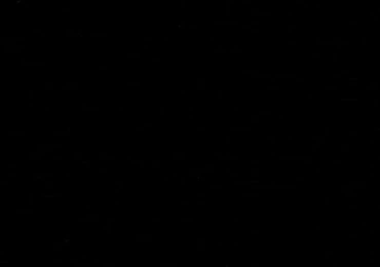 REF. 008 CHOCOLATE BROWN