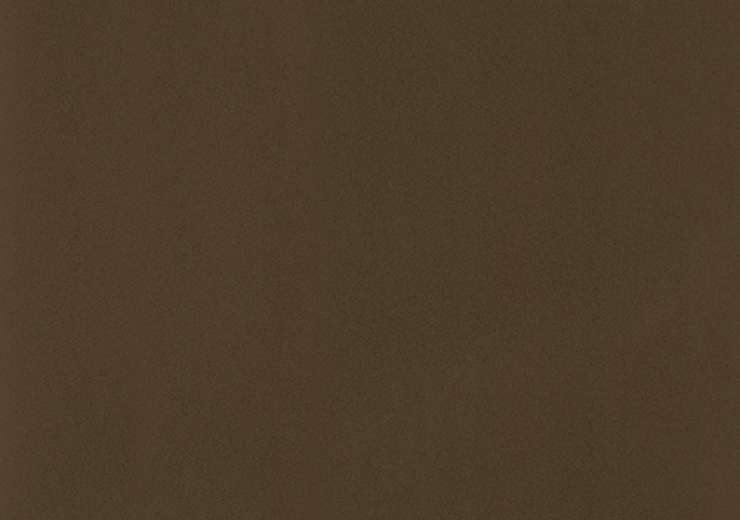 REF. 347 SEPIA BROWN MATT