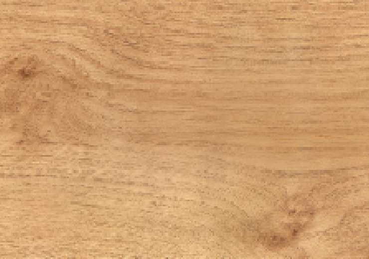 REF. 145 IRISH OAK
